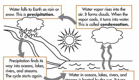 The Water Cycle Worksheet Answers Pdf