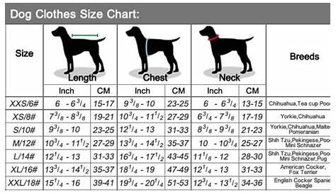 small dog size chart