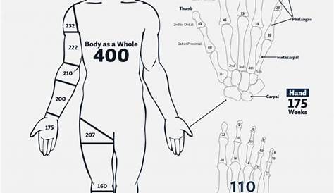 whole body impairment rating chart