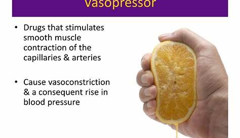 PPT - Inotropes & Vasopressors PowerPoint Presentation, free download