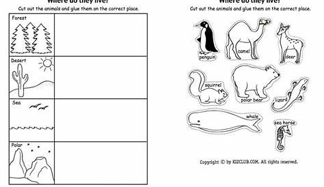 life science animal worksheet
