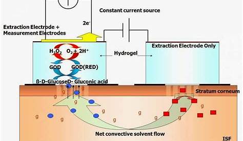 glucose sensor circuit diagram