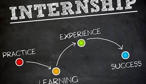 the successful internship 5th edition pdf free