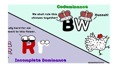 Incomplete Dominance vs. Codominance - SCIENCE WITH THE AMOEBA SISTERS