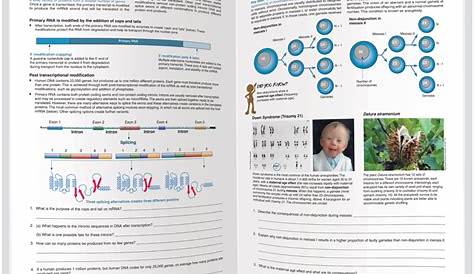 BIOZONE QCE Biology Units 3 & 4 Workbook