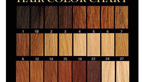 SUPER POWER HAIR: LEARN WHICH NUMBER IS YOUR HAIR COLOUR!!!!!