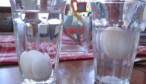 make an egg float in water experiment