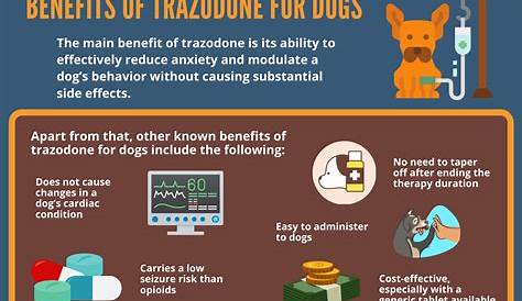 Trazodone For Dogs: Uses, Benefits, And Precautions For Dog Behavior