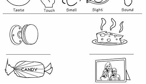 New! 5 Senses printable is great for classrooms of all ages! Five