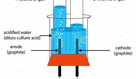 Fully Labeled Diagram of the Electrolysis of Water Stock Illustration