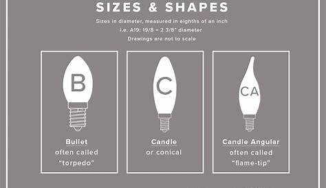 The ultimately essential light bulb guide | Bulb, Light bulb, Candle base