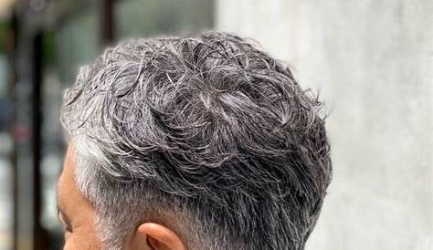 50代の髪型メンズ｜白髪の芸能人から学ぶ渋いヘアスタイル｜ヘアスタイルマガジン Grey Hair Men, Gray Hair Cuts