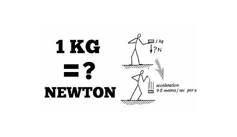 1 Kg Berapa Newton