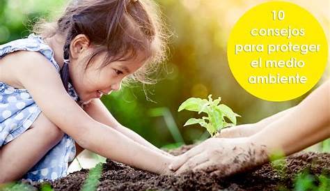 30 Acciones para Cuidar el Medio Ambiente y el Planeta - mott.social