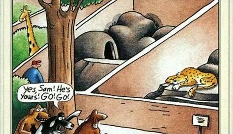30 Of The Best Far Side Cartoons Of All Time | Far side cartoons, Funny