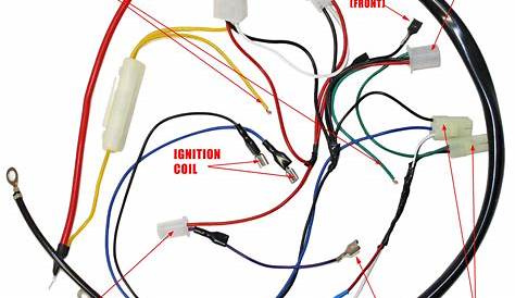 150Cc Scooter Wiring Harness Diagram