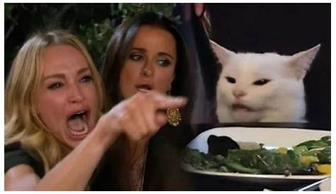 Two Women Yelling At A Cat Blank Template - Imgflip