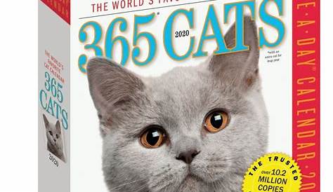 365 Days of Cats Wall Calendar 2023 by Carousel Calendars 230487