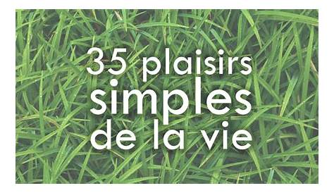 35 plaisirs simples de la vie - La vie, c'est maintenant.