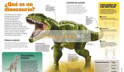 Como Fueron Realmente Los Dinosaurios