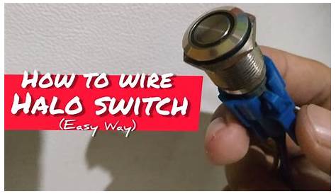 5 Pin Halo Switch Wiring Diagram