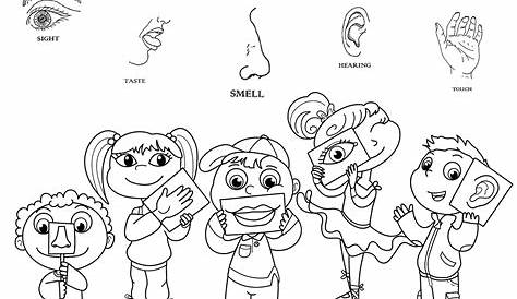 Printable 5 Senses Coloring Pages Printable Word Searches