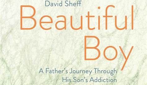 A Beautiful Boy Book By David Sheff Official Publisher