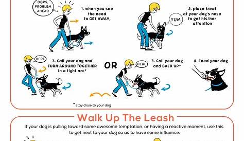 About Turn Dog Training Keep Your Close On Walks And Improve His