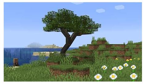 Acacia Blossom Minecraft