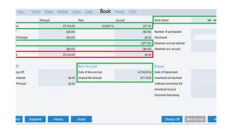 Set Loan to Non-Accrual