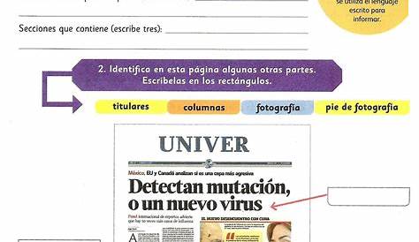 Partes De Un Periodico Escolar