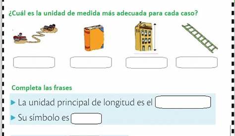 Ficha online de Medidas de longitud para primero. Puedes hacer los