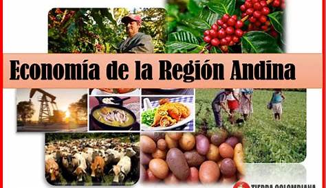 Presentacion region andina