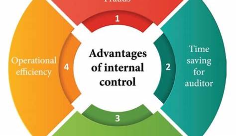 Difference Between Internal Check and Internal Audit (with Objectives