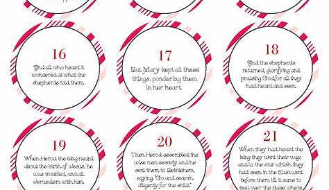 33 weird advent calendars online 2023: Quirky & unique alternative