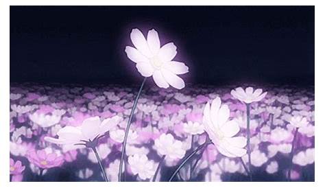 July 27 2017 at 07:42AM | Aesthetic anime, Anime flower, Anime scenery
