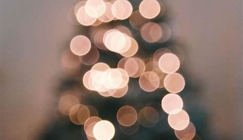 Aesthetic Christmas Tree Background