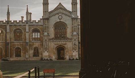 Aesthetics: The Cambridge Perspective