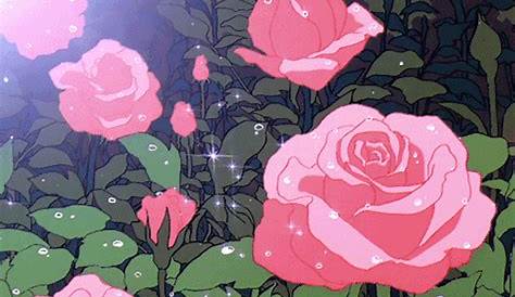 Aesthetic Flower GIFs: A Transparent Guide