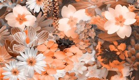 Floral Aesthetic Desktop Wallpapers - Wallpaper Cave
