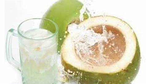 Manfaat Luar Biasa Jika Rutinkan Minum Air Kelapa Campur 3 Bahan Ini