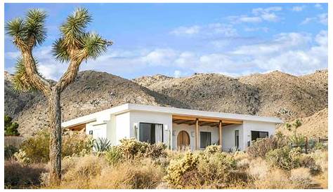 20 Best Joshua Tree Airbnb: Top Picks for 2022 - The Wanderlust Within