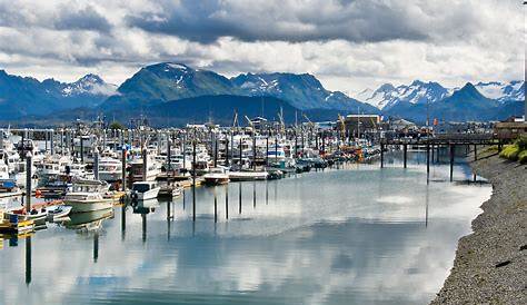 Homer (Alaska) cruise port schedule | CruiseMapper