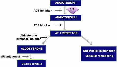 Aldosterone Receptor Antagonist Medications PPT Adreno Cortico Steroids, Inhibitors, And