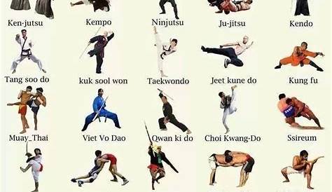 About Different Martial Arts Styles | Martial arts, Martial arts styles