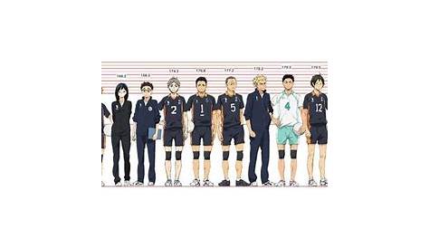 Haikyuu Characters Height - Haikyuu Character Height Chart In Feet