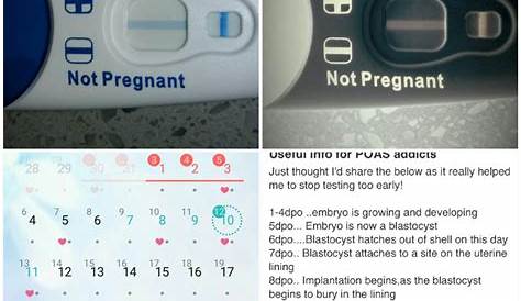 Am I Pregnant Quiz After Period ? How To Know t’s Time