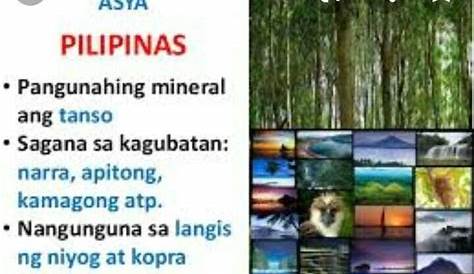yamang tubig ng pilipinas - philippin news collections