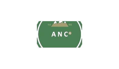 ANC Group of Companies Careers (2020) - Bayt.com