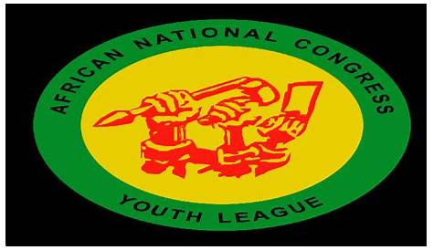 ANC Youth League members cry foul after leadership elected unopposed